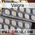 Vaigra 07